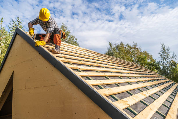 Best Gutter Installation and Roofing  in Newport, NC
