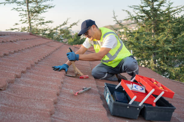 Best Metal Roofing Contractor  in Newport, NC