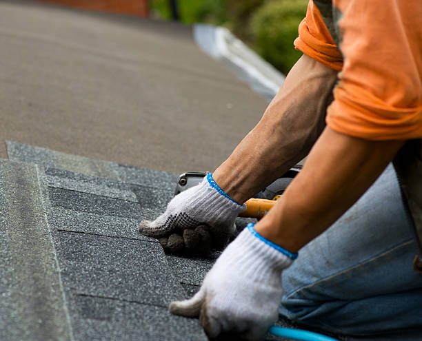 Best Roof Gutter Cleaning  in Newport, NC