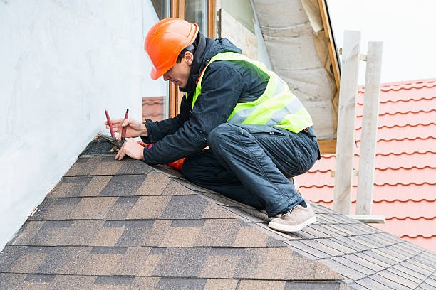 Best Storm Damage Roof Repair  in Newport, NC