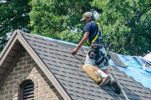 Best Roof Waterproofing Services  in Newport, NC